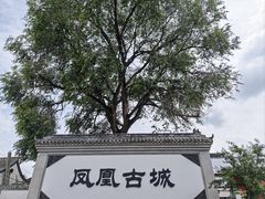 -柳沟豆腐宴69号福豆堂