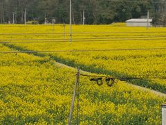 -桤木河湿地公园