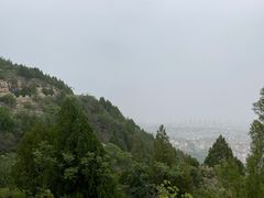 -府君山公园