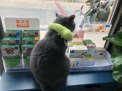 -嘉美宠物医院