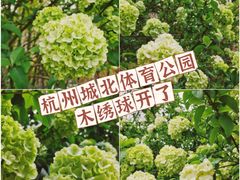-杭州城北体育公园