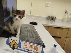 -心语宠物医院·急重症转诊中心·瑞辰华诺(南青路店)