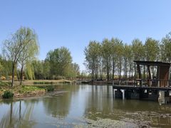 -东郊湿地公园