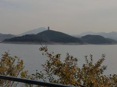 -望湖烤鱼