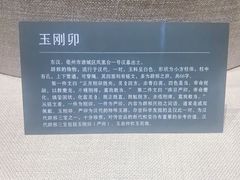 -亳州博物馆