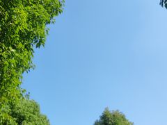 -安肯心理咨询(长宁旗舰店)