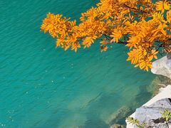 -叠溪松坪沟景区