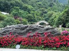 -黔灵山公园