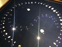 -青岛贝壳博物馆
