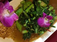 芥蓝-Daddy Nimman Chiang Mai