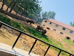 -大连森林动物园