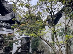 -上海城隍庙