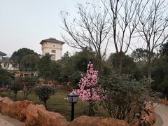 -山湖温泉