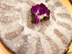 -官塘陈记鱼生·潮汕砂锅粥·牛肉火锅(潮枫路总店)