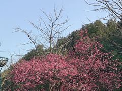 -嘉北郊野公园
