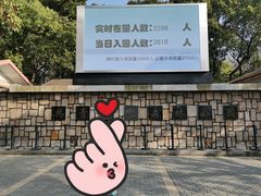 -上海共青森林公园