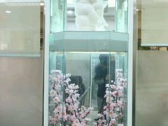 -北京朝阳门中西医结合医院