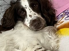 -泰康拜博口腔(凯迪大厦店)