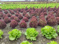 -中国天府农业博览园