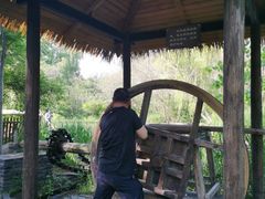 -溱湖国家湿地公园