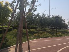 -丁香湖公园