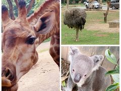 -广州长隆野生动物世界