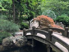 -山林博物馆&花园