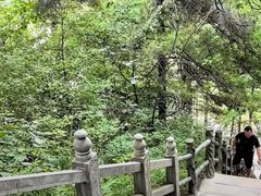 -塔云山