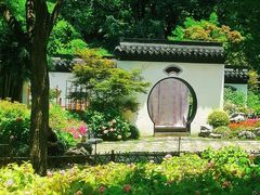 -上海共青森林公园