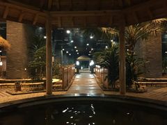 -陆地游轮吉林神农温泉