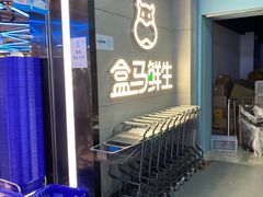 -盒马鲜生(大行宫店)