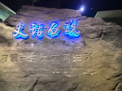 -包头博物馆