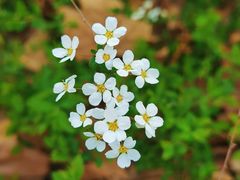 -苏州河梦清园环保主题公园