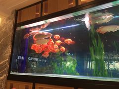-弘安丽水温泉酒店