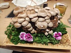 蘑菇-湯系·煲汤手艺人(东二环泰禾广场店)