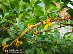 -山西乌金山旅游区