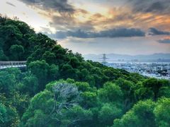 -仙岳公园