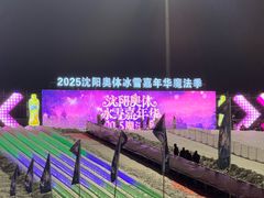 -沈阳奥体冰雪嘉年华