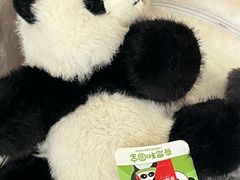 -熊猫邮局(少城店)