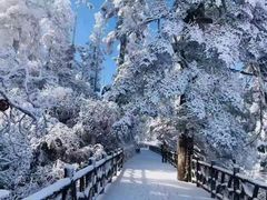 -九皇山景区