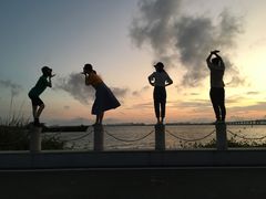 -芒洲湿地公园