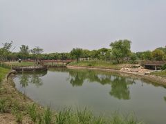 -嘉北郊野公园北游客中心-地上停车场
