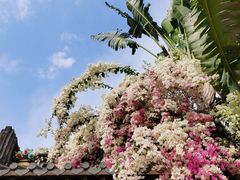 -深圳国际园林花卉博览园