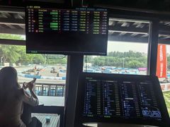 -新港卡丁车(奥森公园店)