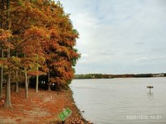-上海海湾国家森林公园