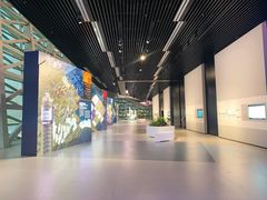 -深圳市当代艺术与城市规划馆