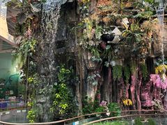 -正佳雨林生态植物园