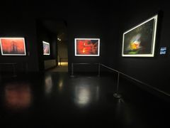 -罗红摄影艺术馆