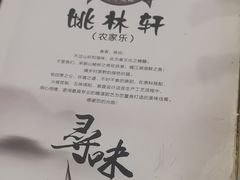 -姚林轩
