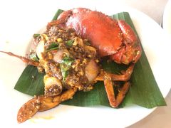 -大树下海鲜饭店